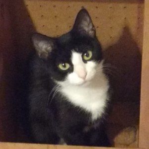 Meet your Posher, Sandra